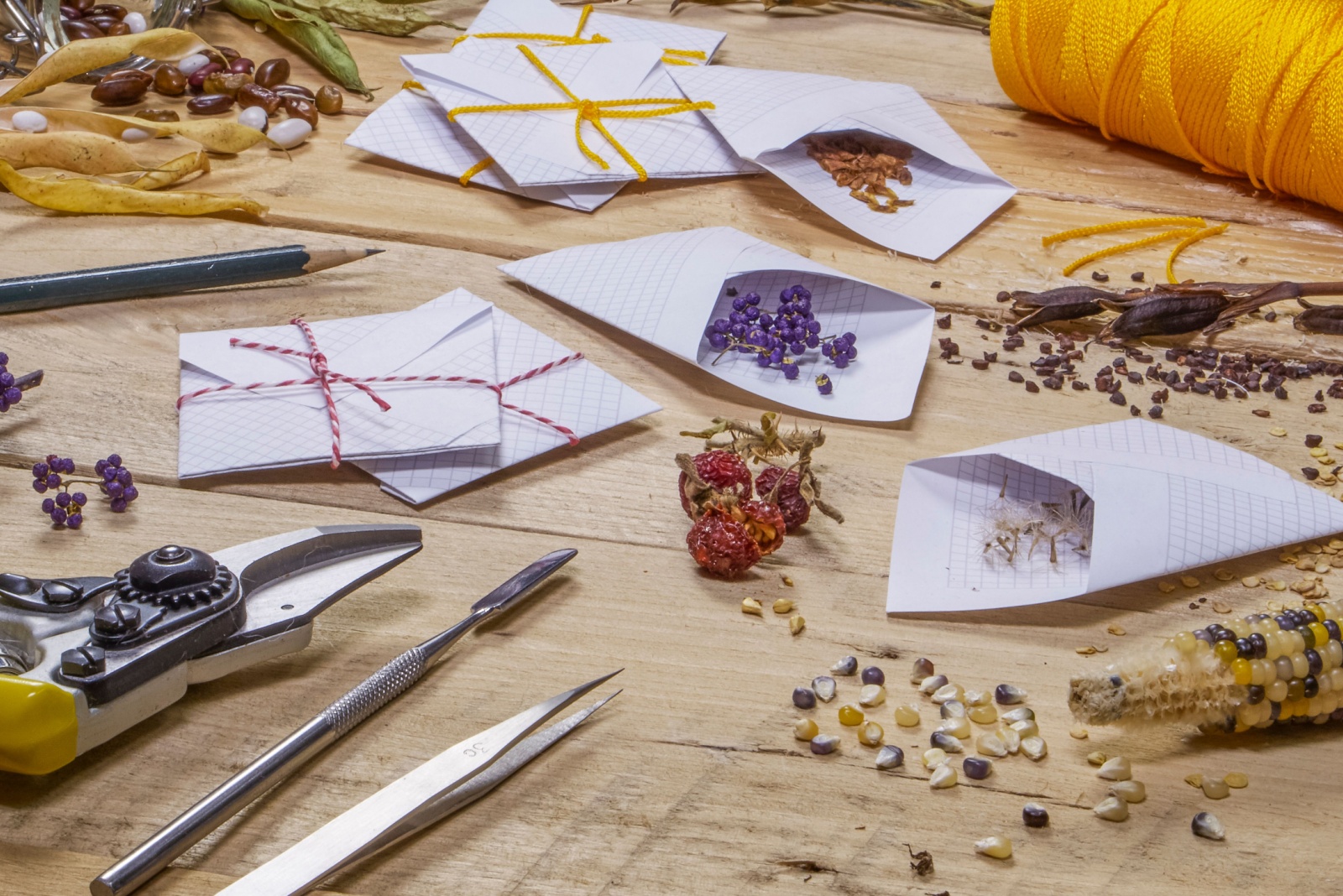 How Pennsylvania Gardeners Collect And Store Heirloom Seeds For Next Season