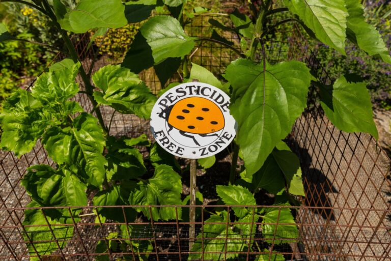 pesticide-free sign in a garden