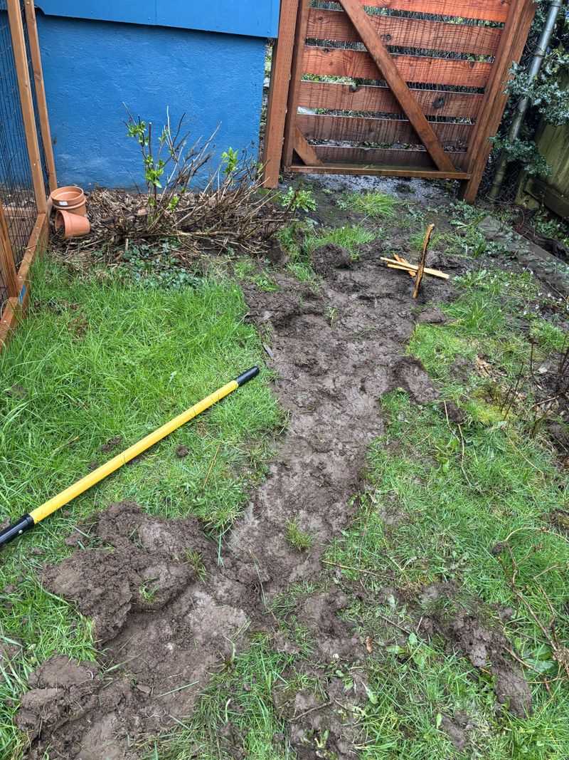 Start With Proper Ground Preparation