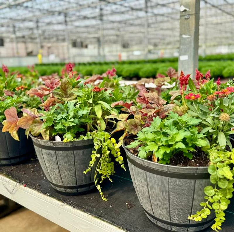 Four-Season Container Arrangements