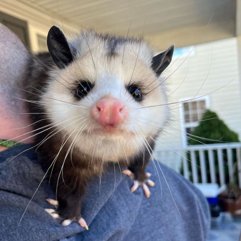 Professional Help Ensures Safety