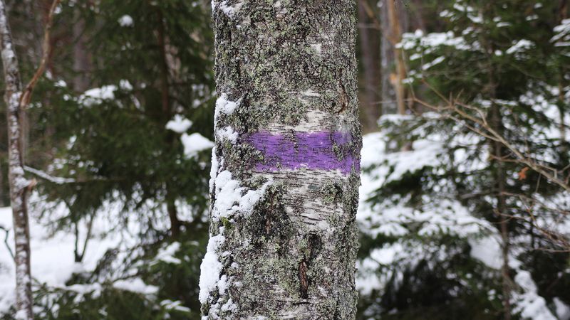 Cost-Effective Alternative To Expensive Signage