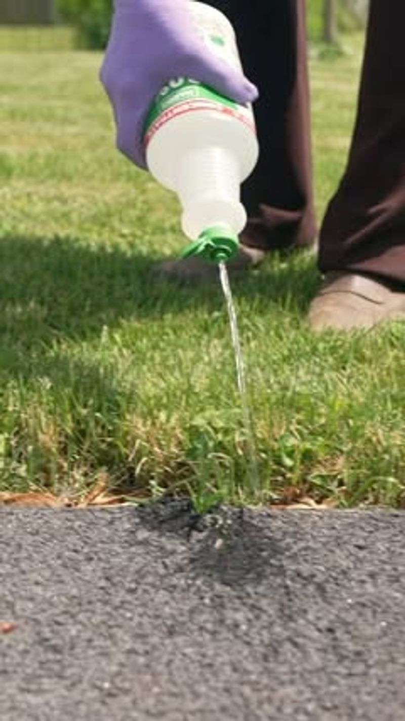 Remove Plants Wearing Proper Protective Gear