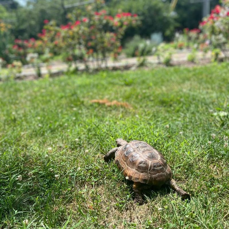 Never Relocate It Far Away