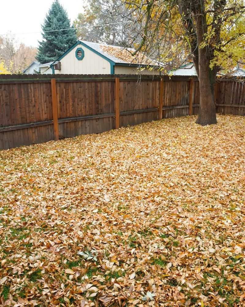 Leaving Thick Leaf Layers Uncleared