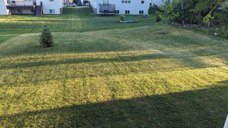 Applying Wrong Fertilizer Type