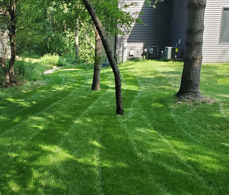 Skipping Overseeding