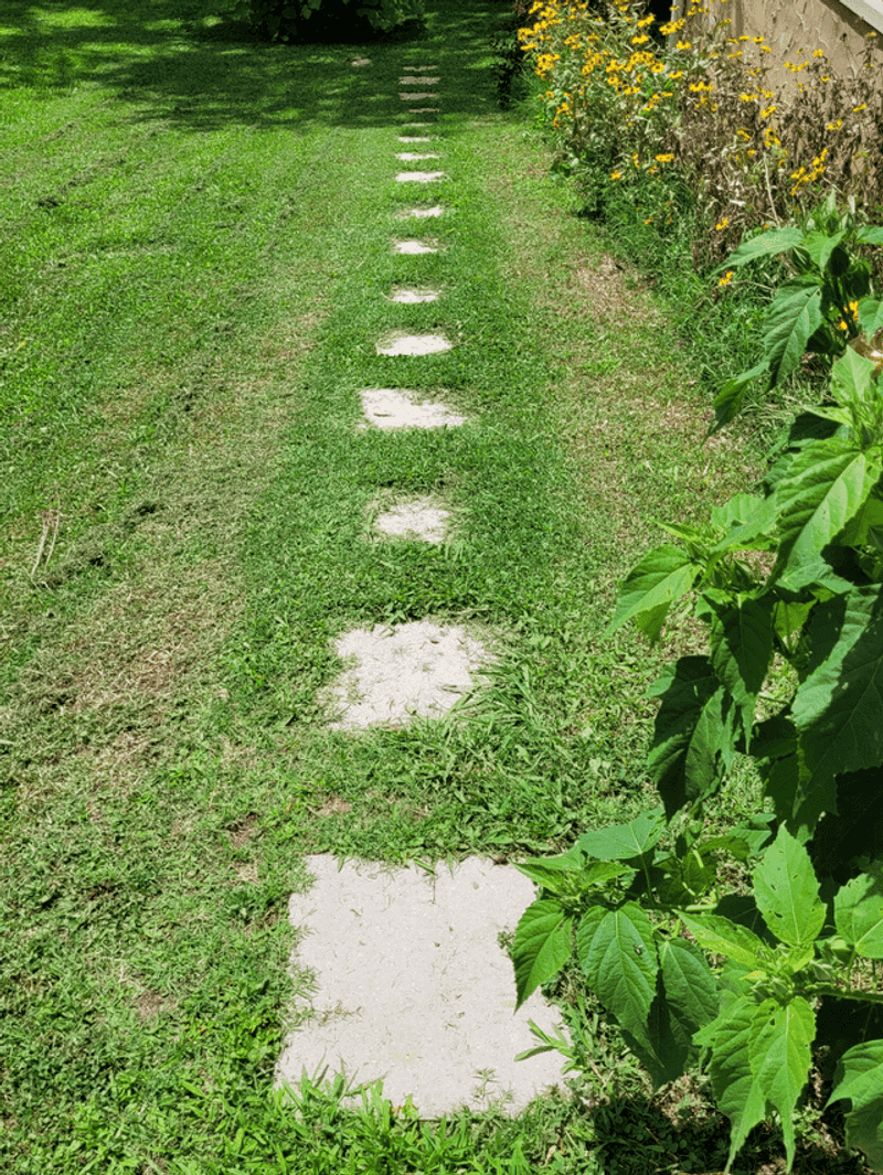 Grass Strip Stepping Paths