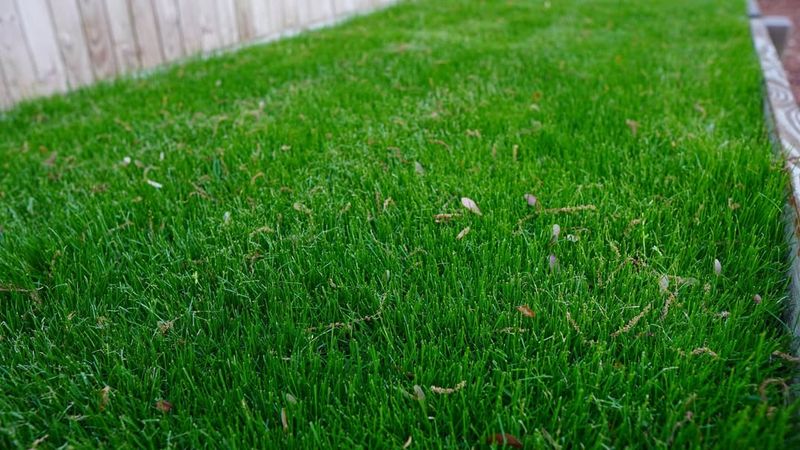 Sets Up Your Lawn For Spring Success