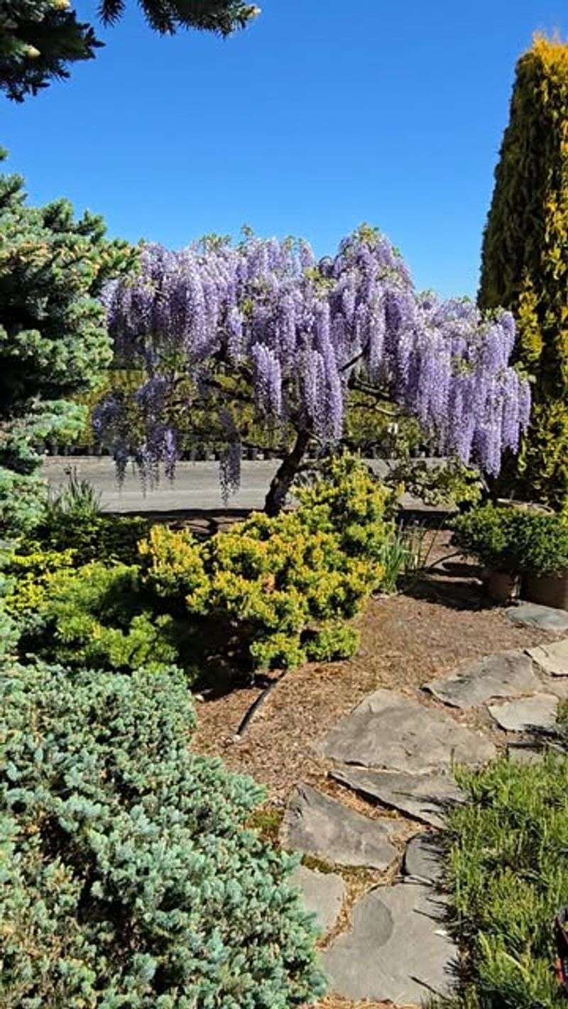 Wasted Nutrients and Money