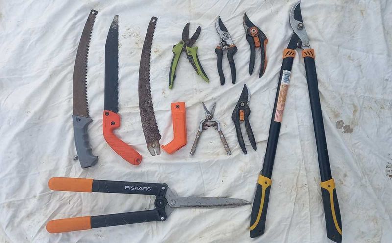 Clean And Sanitize Garden Tools