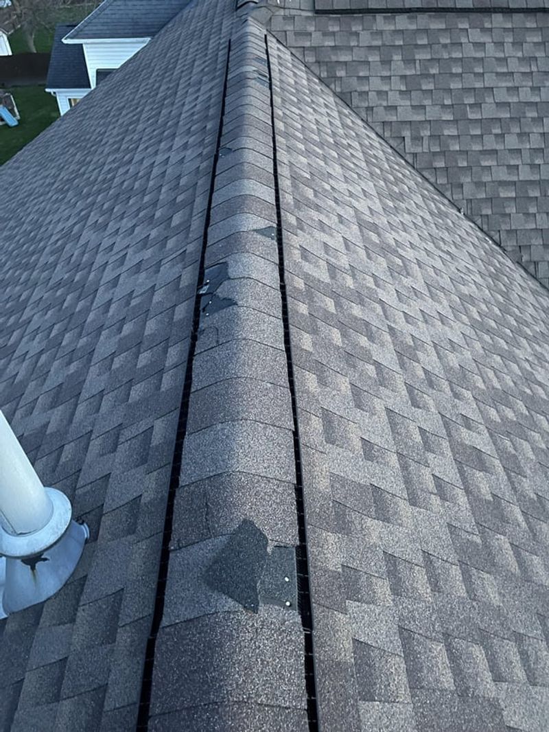Checking Roof Shingles for Damage
