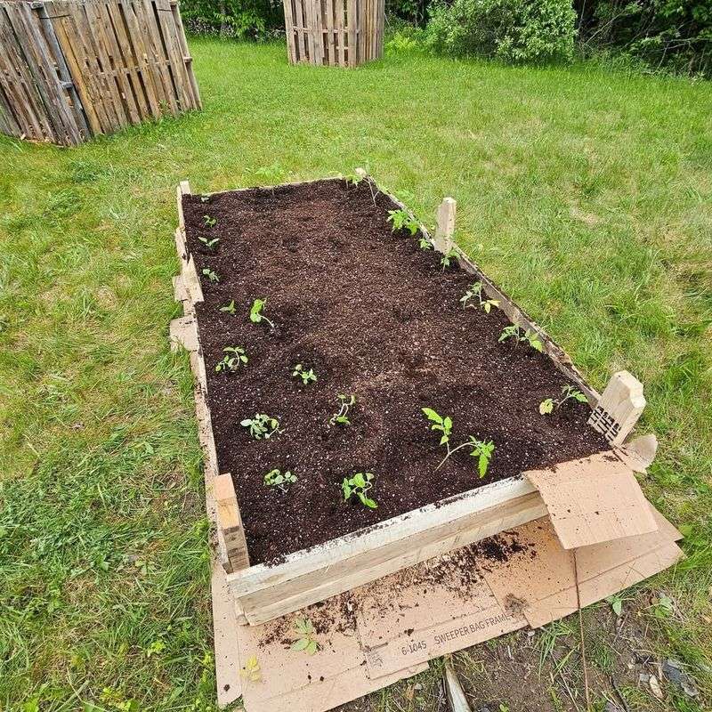 Mix The Perfect Florida Soil Blend