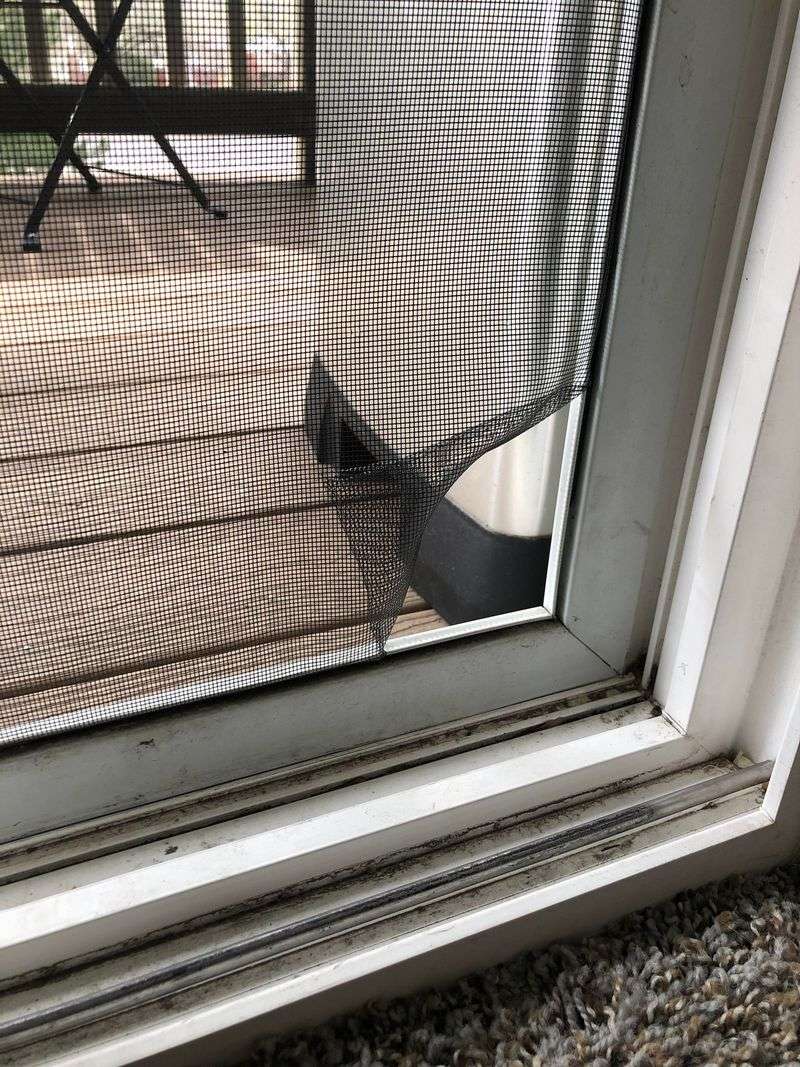 Repair Damaged Window Screens