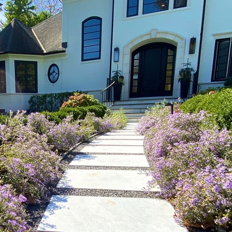 Space Plants Properly At Planting Time