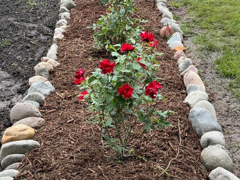 Apply A Thick Mulch Layer