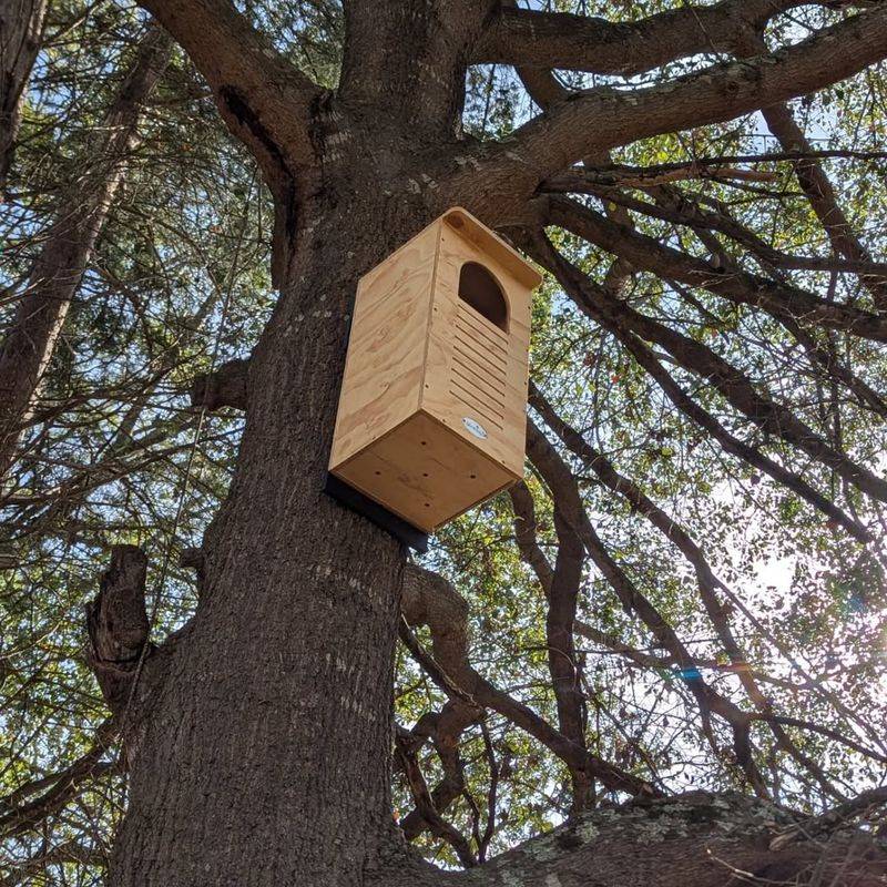 Encourage Natural Predators To Your Property
