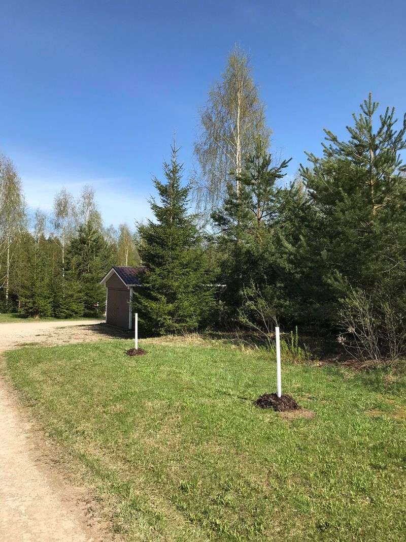 Check and Repair Tree Guards