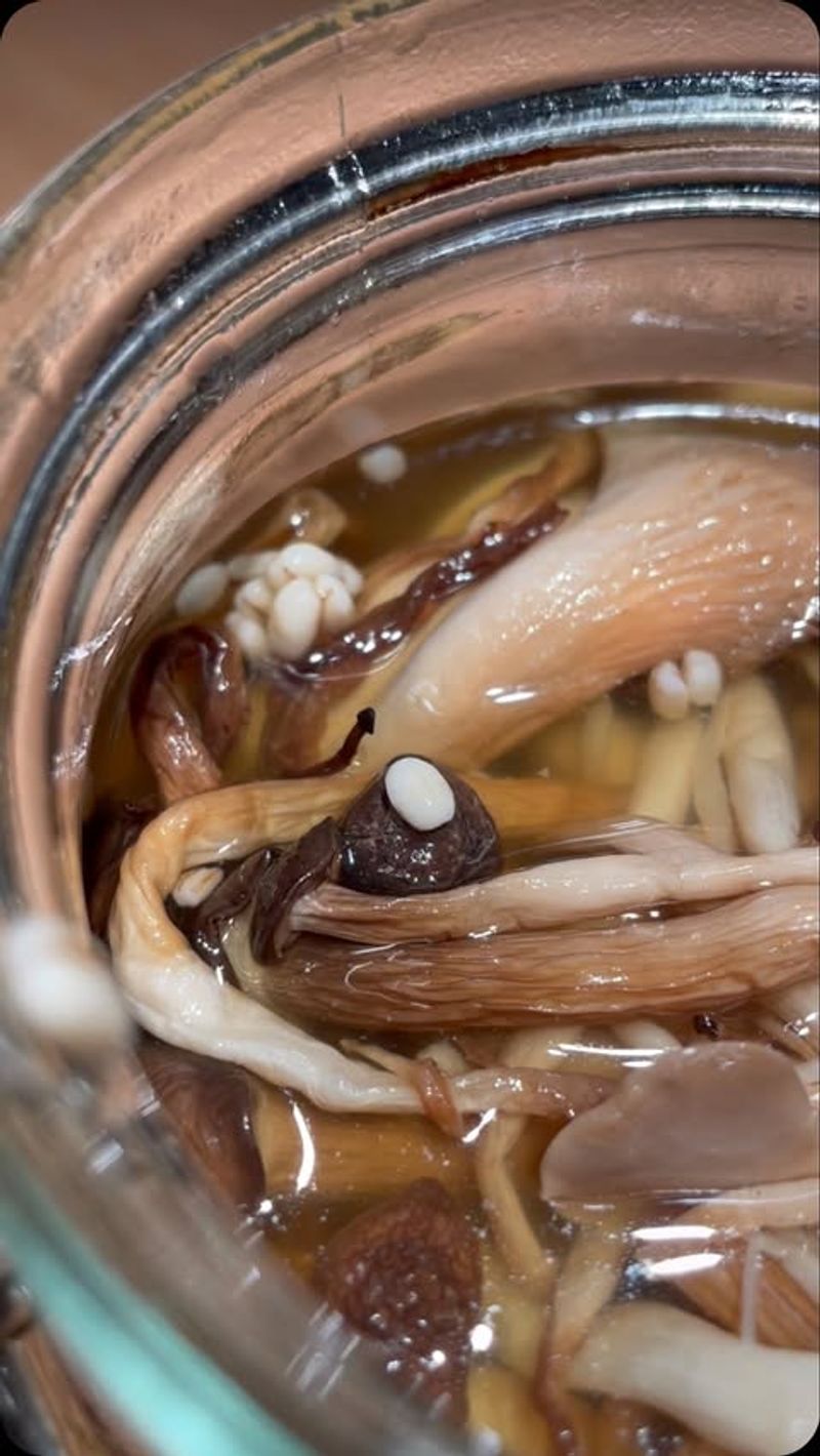 What Makes Mushroom Water Special For Plants