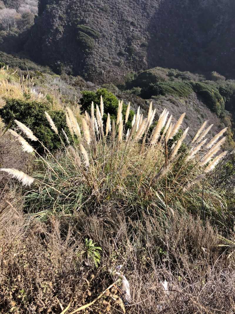 Fire Hazard During California's Dry Season