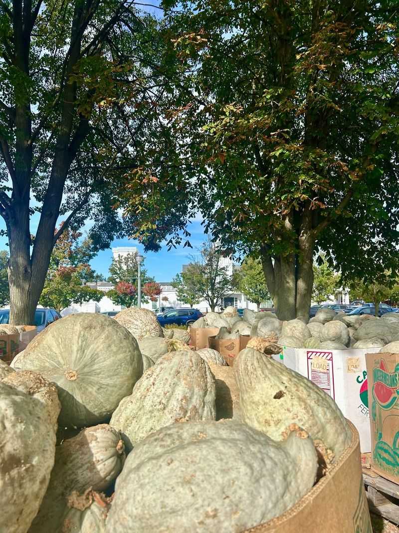 Hubbard Squash