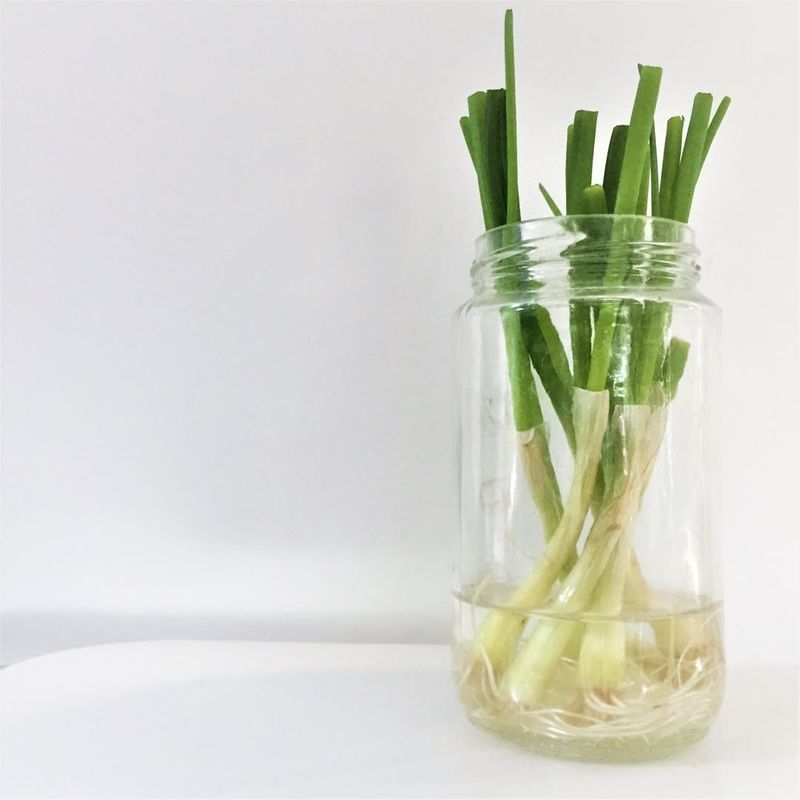 Green Onions
