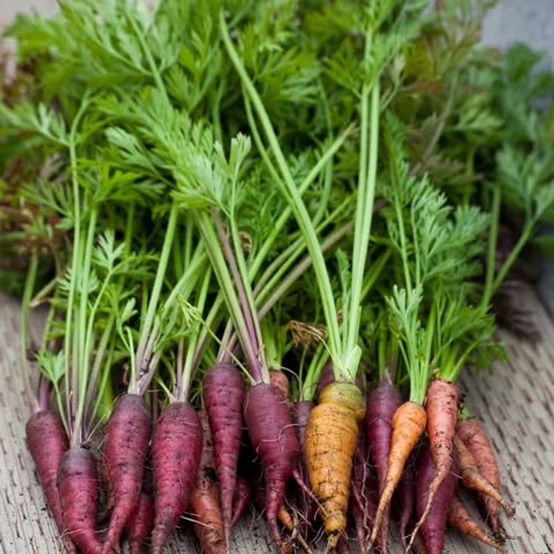 Carrots