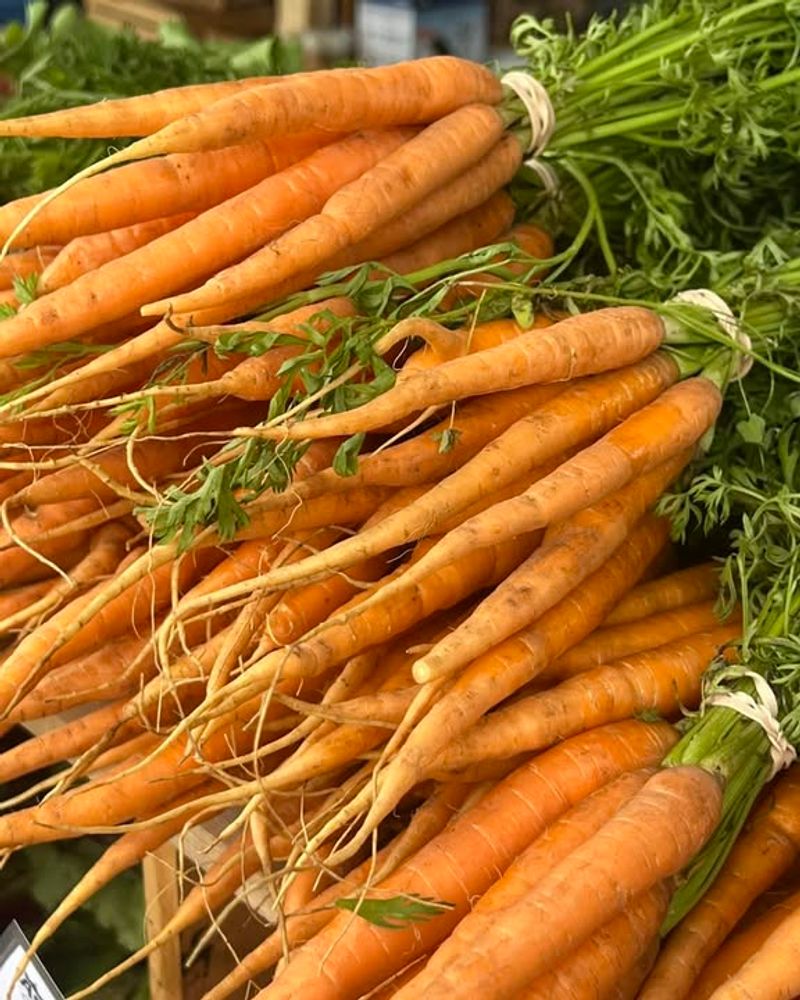 Carrots And Root Vegetables