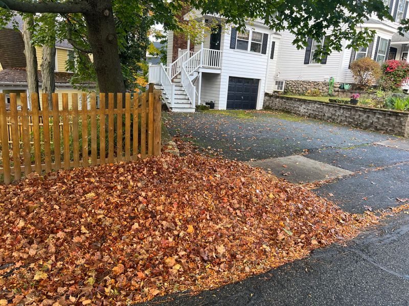 Clean Up Yard Debris and Mulch