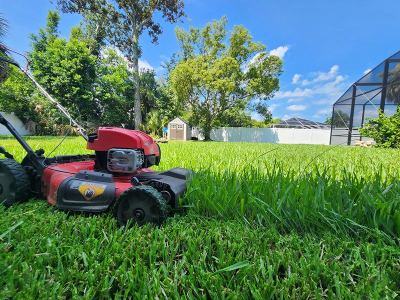 Change Your Mowing Pattern Each Time