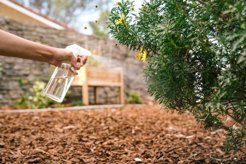 Protecting Garden Beds Near Patios