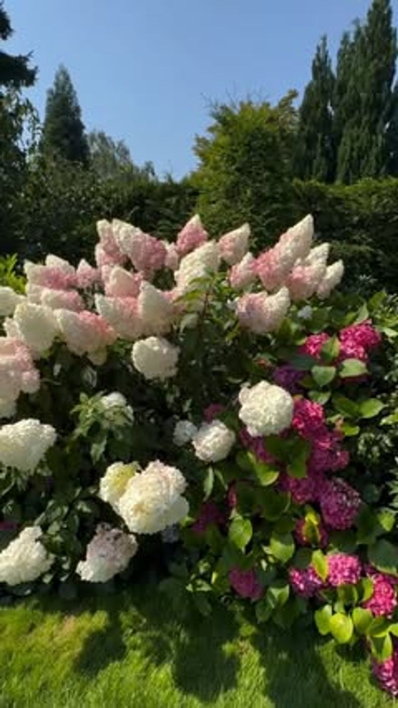 Account for Air Circulation Between Plants