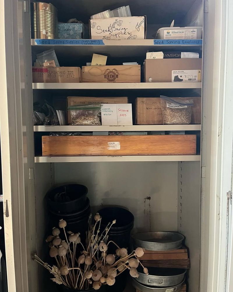 Store In Cool, Dark, And Dry Conditions