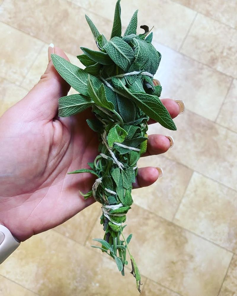 Mint