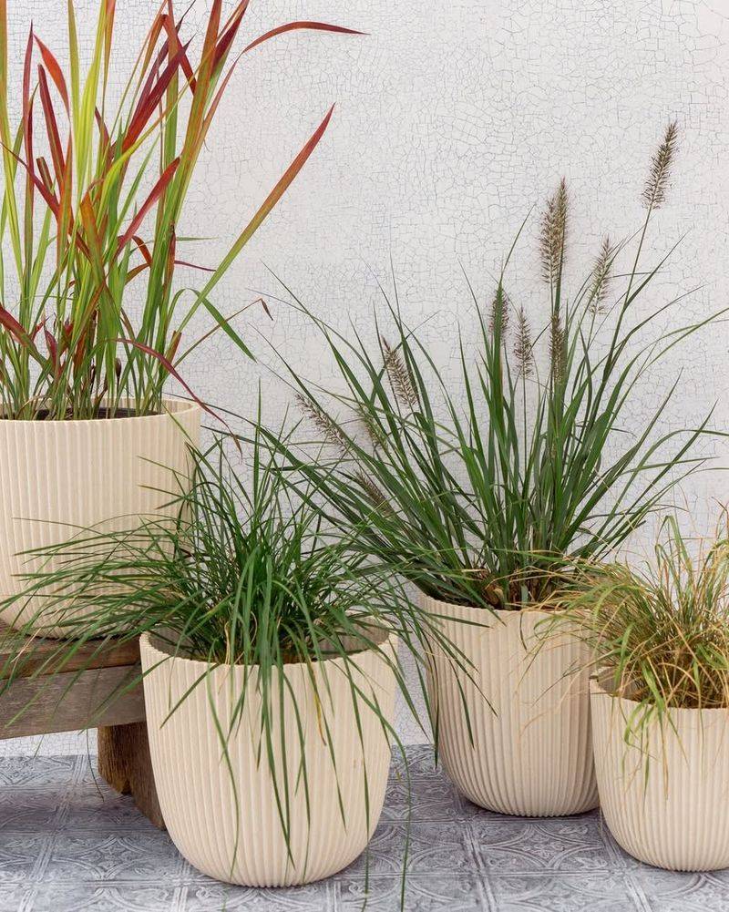 Incorporate Native Grasses