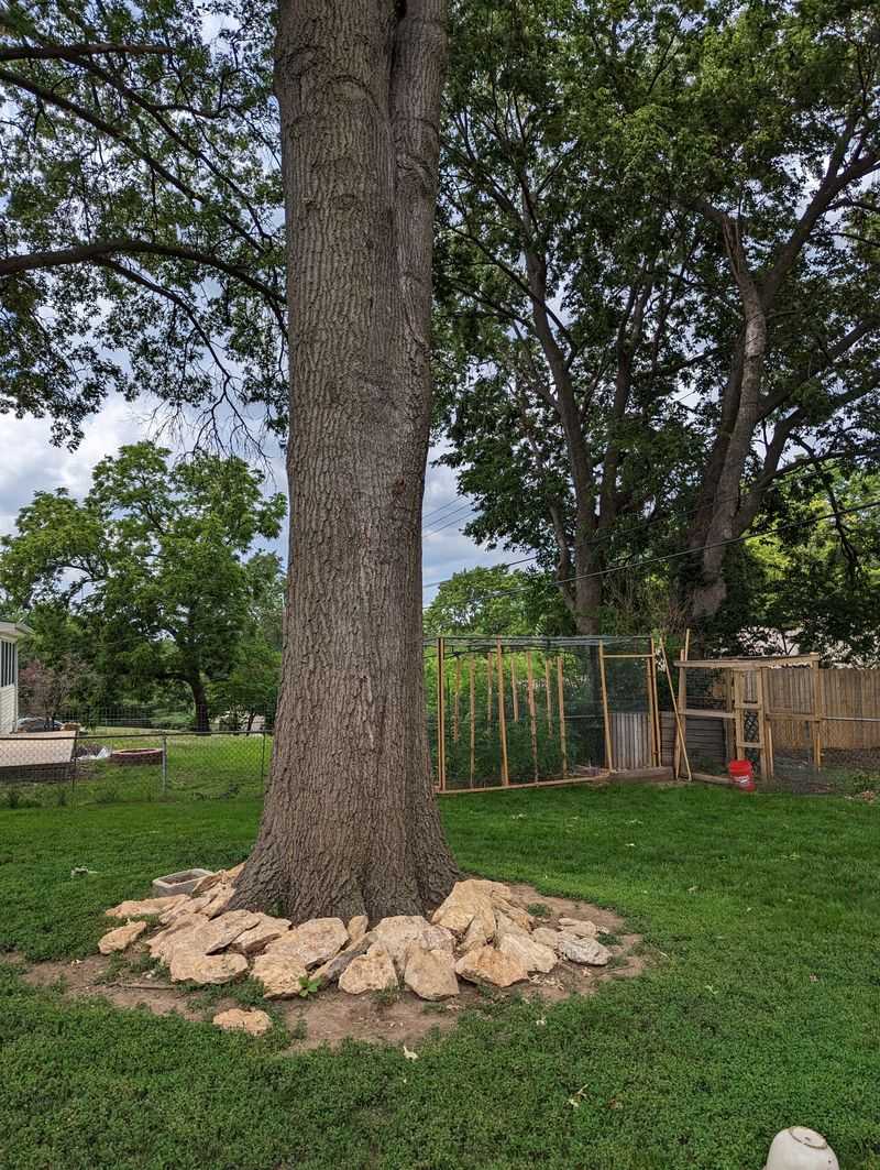 Debris Caught After Storms Piles Up