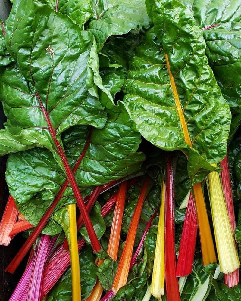 Versatile Swiss Chard