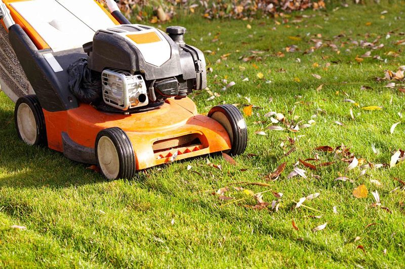 Watch for Frost Before Mowing