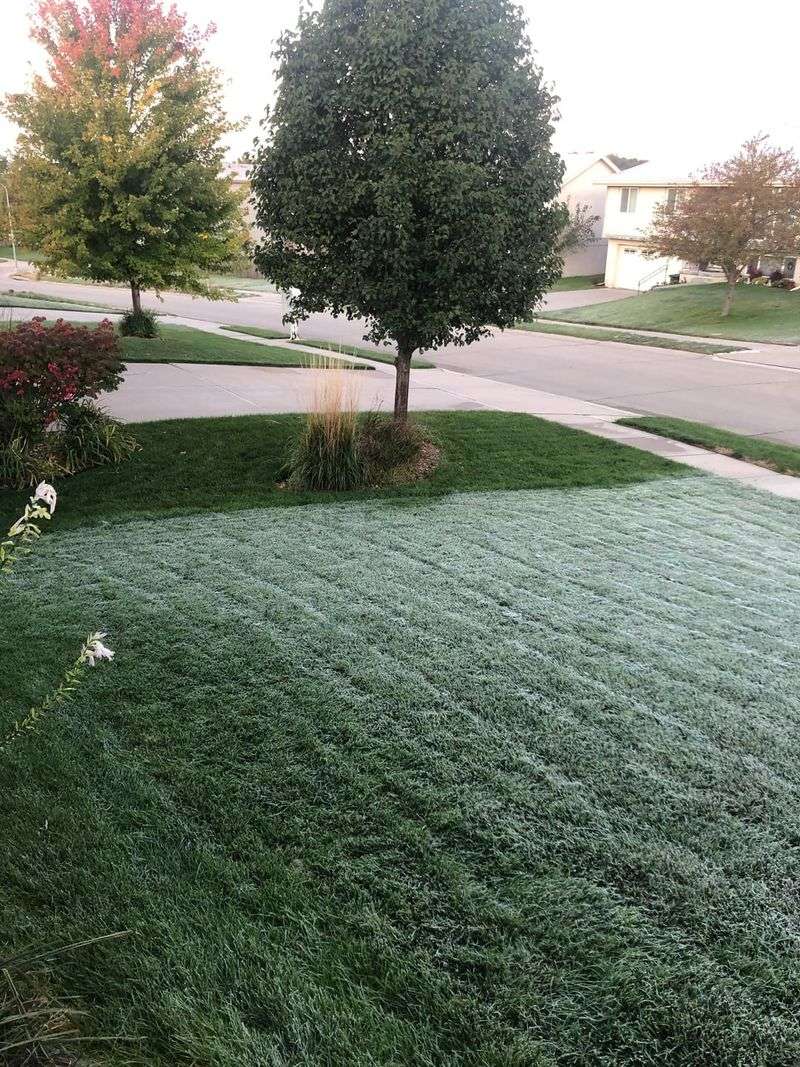 Avoid Mowing Frozen Grass