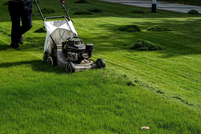 Avoid Mowing During Peak Heat Hours