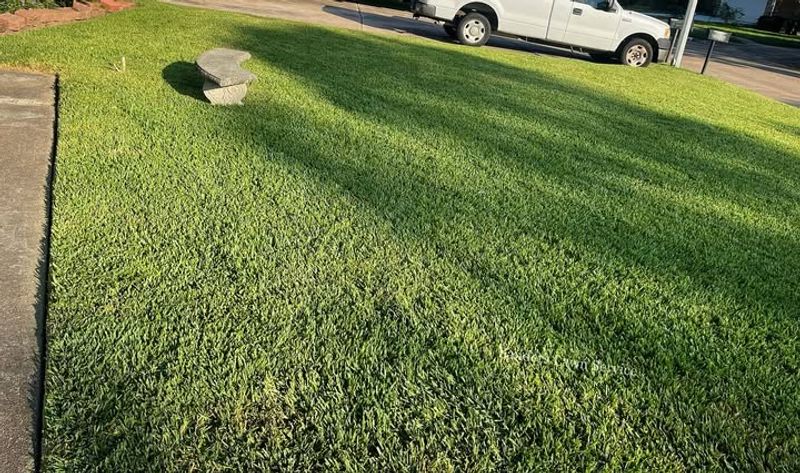 Reduce Mowing Frequency Gradually