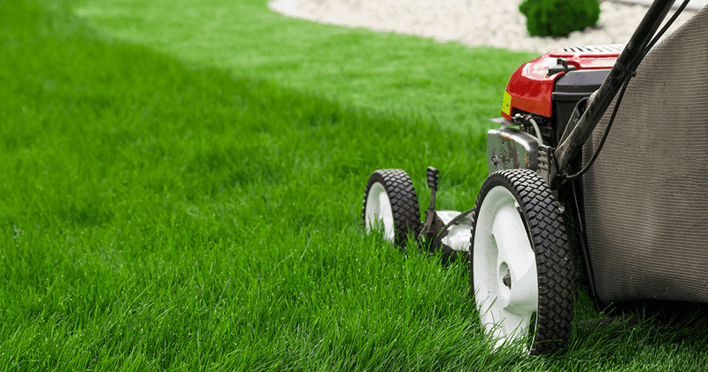 Reduce Mowing Frequency Gradually