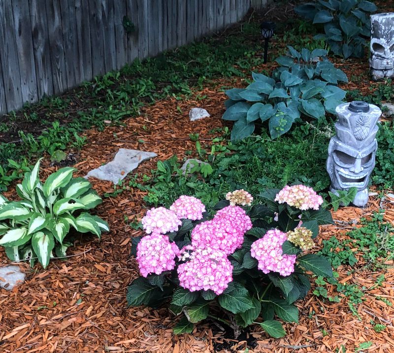 Factor in Companion Plant Needs