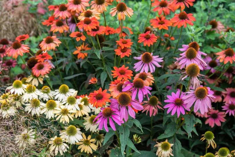 Check For Good Drainage In Your Garden Bed