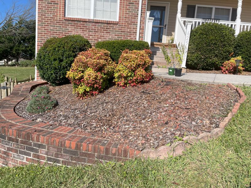 Skipping Mulch Around Foundation Plantings