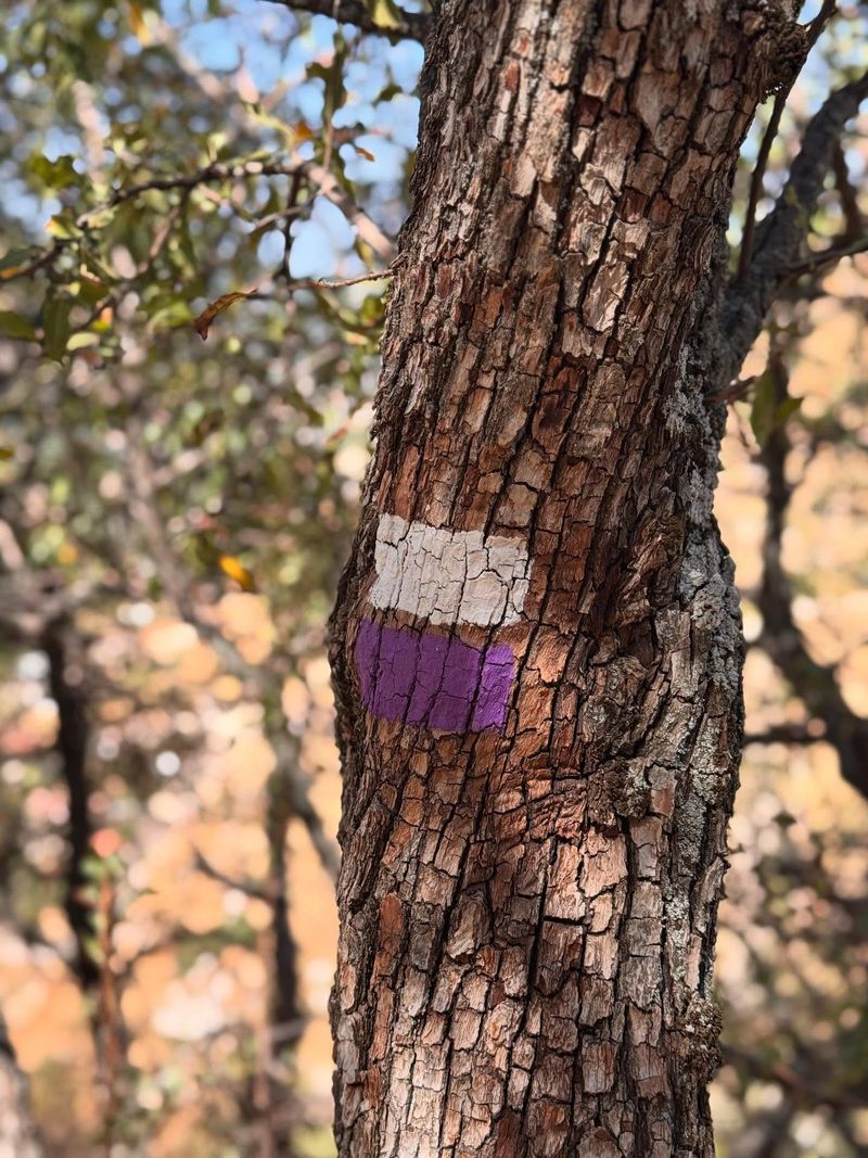 Cost-Effective Property Marking