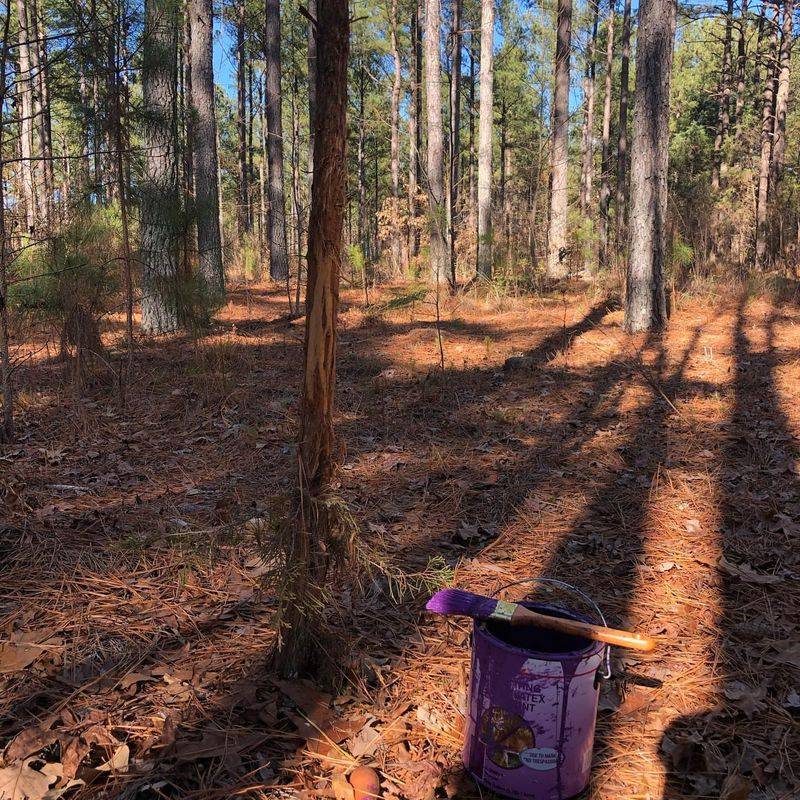 Hunting Land Protection