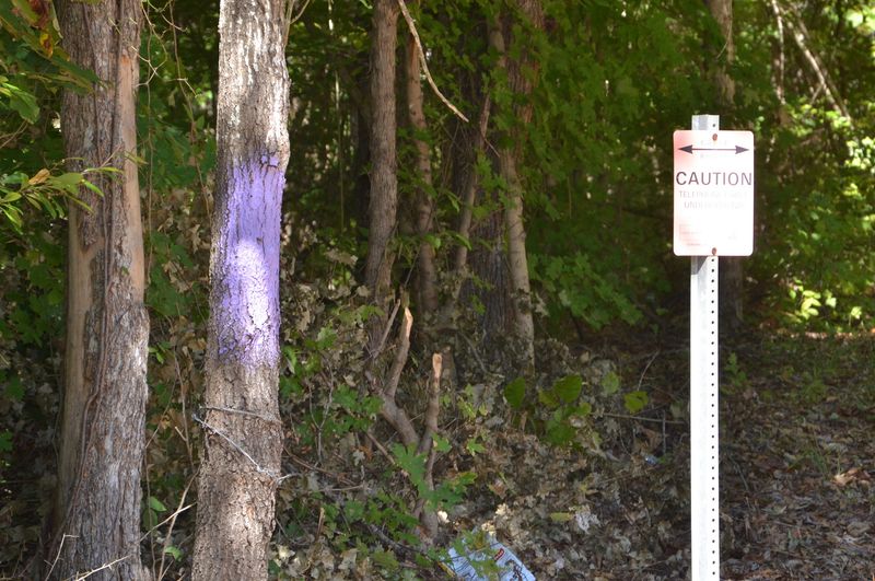 Environmental Benefits Over Metal And Plastic Signs