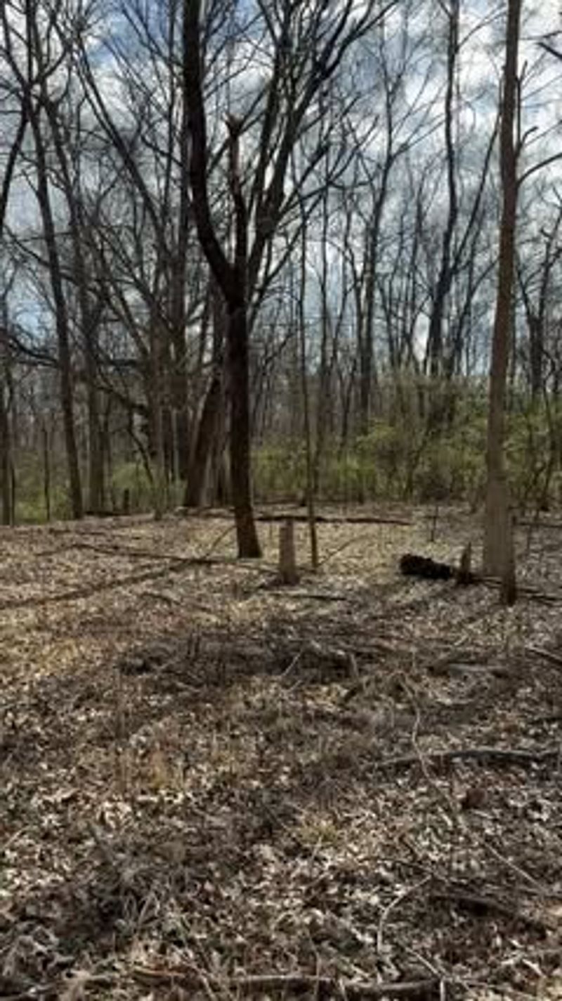 Protecting Hunting Grounds and Wildlife Management Areas
