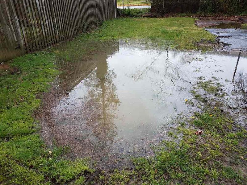 Neglecting Aeration For Compacted Soil